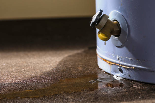 Best Water damage restoration company  in Colwyn, PA