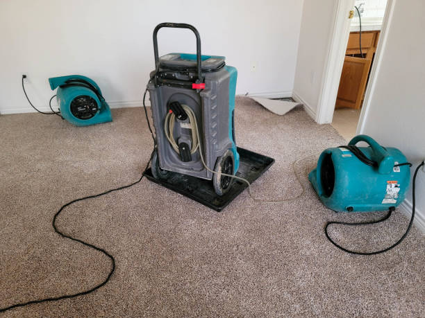 Best Sewage cleanup and water damage restoration  in Colwyn, PA