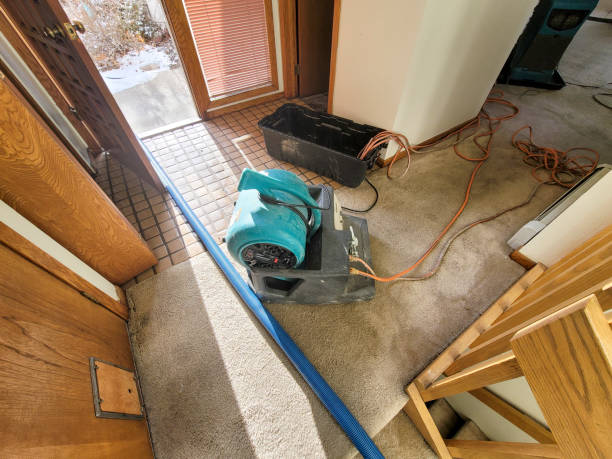 Best Local water damage restoration  in Colwyn, PA