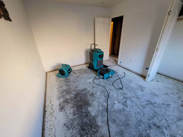 Best 24/7 water damage repair  in Colwyn, PA