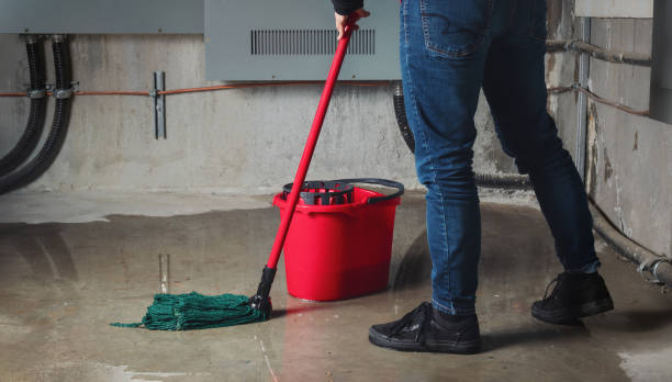 Best Carpet water damage restoration  in Colwyn, PA