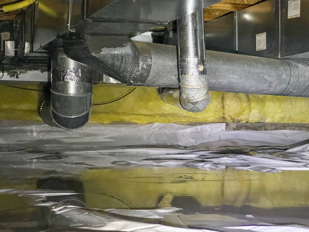 Water damage restoration mold remediation in Colwyn, PA
