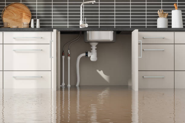 Best Basement water damage restoration  in Colwyn, PA