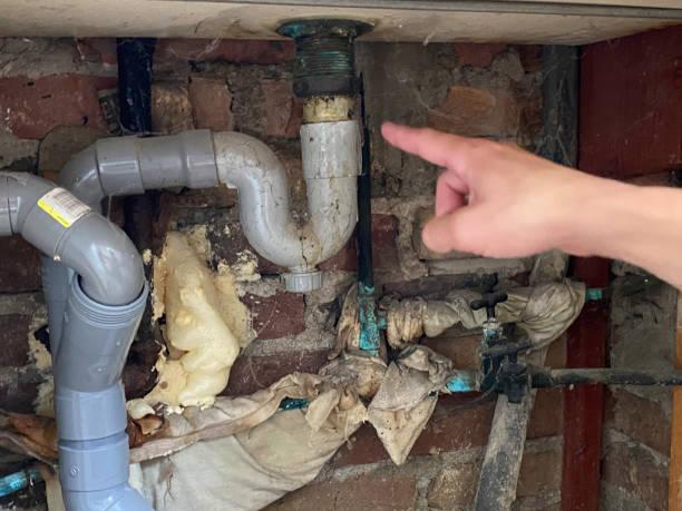 Best Water damage restoration company  in Colwyn, PA