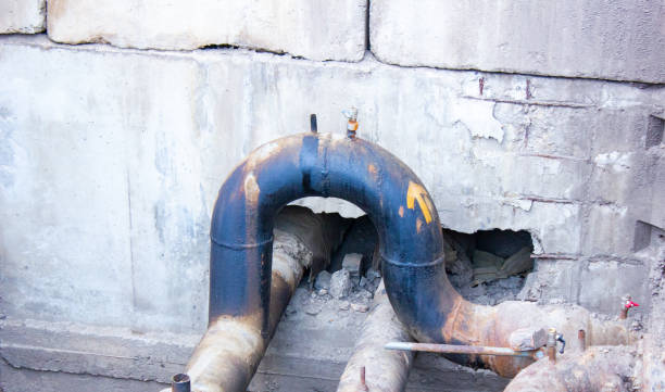 Best Professional water damage repair  in Colwyn, PA